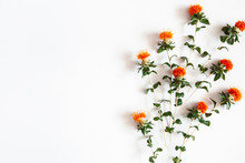 Autumn Composition. Orange Flowers On White Background. Autumn, Fall Concept. Flat Lay, Top View, Copy Space