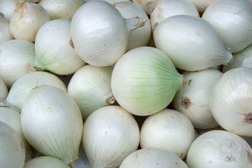 Wall Mural - white onions on the market