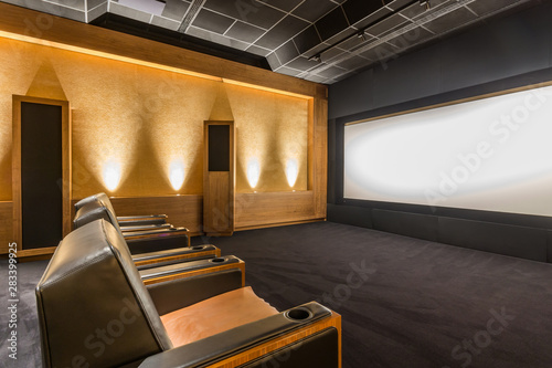 Luxury Home Theater Design Home Cinema Room Private