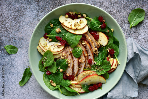 Fotomural Spinach salad with grilled chicken breast, red apple, dried cranberry and walnuts