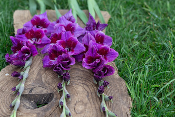 Wall Mural - Beautiful bouquet lilac gladiolus flowers , flat lay. Space for text
