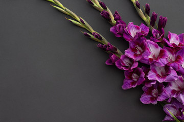 Wall Mural - Beautiful bouquet lilac gladiolus flowers , flat lay. Space for text