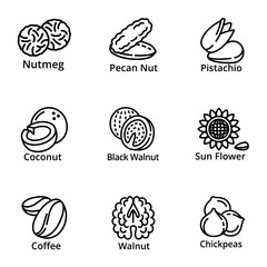 Poster - Vegan nuts icon set. Outline set of 9 vegan nuts vector icons for web design isolated on white background