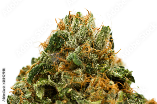 Fotomural Fibers and crystals on a cannabis bud