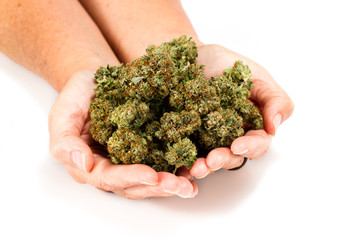 hands on cannabis