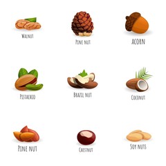 Poster - Fresh nuts icon set. Cartoon set of 9 fresh nuts vector icons for web design isolated on white background
