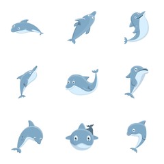 Wall Mural - Happy dolphin icon set. Cartoon set of 9 happy dolphin vector icons for web design isolated on white background