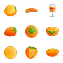 Poster - Vegan persimmon icon set. Cartoon set of 9 vegan persimmon vector icons for web design isolated on white background