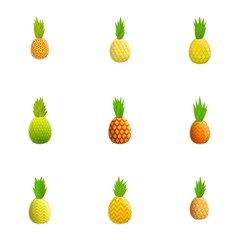 Canvas Print - Organic pineapple icon set. Cartoon set of 9 organic pineapple vector icons for web design isolated on white background