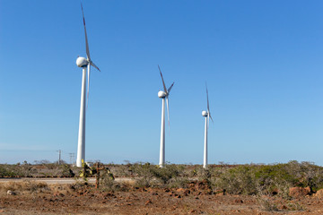 wind power elites in an arid place over a blue sky