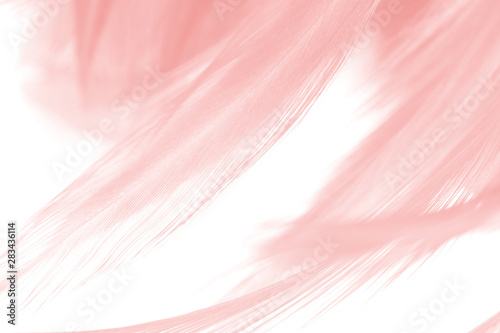 Beautiful Soft Pink Vintage Color Trends Wool Feather Pattern
