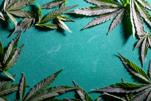 Background From Cannabis Drug Leaves.