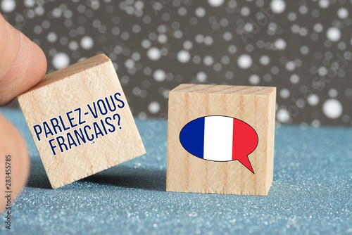 Flagge von Frankreich und Frage Sprechen Sie französisch Canvas Print