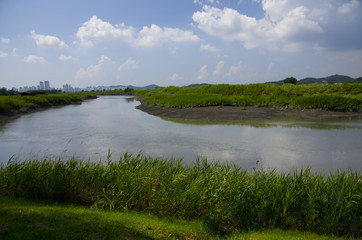 Wall Mural - landscape with lake and blue sky