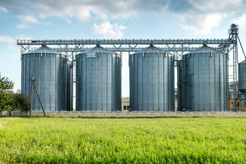 Wall Mural - silver silos on agro manufacturing plant for processing drying cleaning and storage of agricultural products, flour, cereals and grain with beautiful clouds