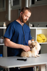 Wall Mural - Treatment dogs in veterinary clinic. Young man vet cares for pet.