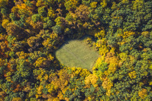 Top View Of A Forest Clearing From A Drone