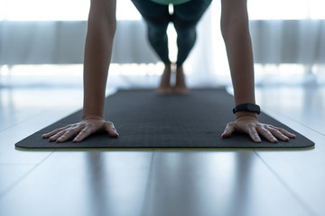 Young sporty woman standing in plank pose on fitness mat