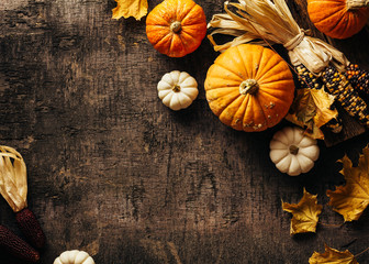 Wall Mural - autumn background with festive decoration, small pumpkins, decorative corn, maple leaves. top view. 