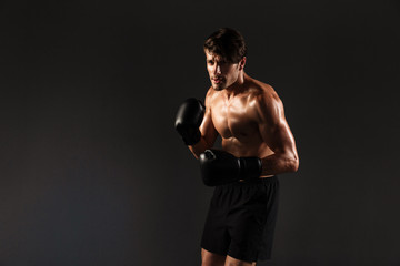 Poster - Handsome young strong sportsman boxer in gloves make exercises boxing isolated over black wall background.