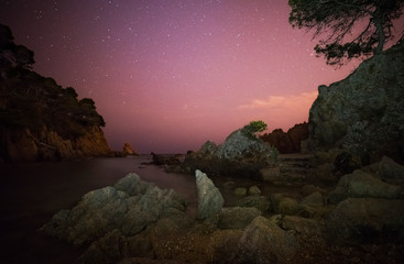 Wall Mural - night seascape with stars in the sky