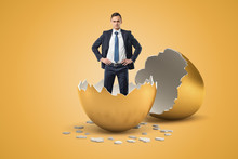 Young Businessman Standing In Golden Eggshell As If He Just Hatched Out From Egg.