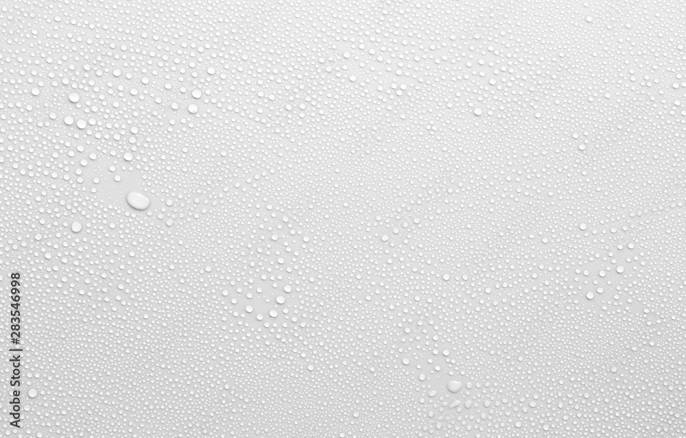 water drop on white surface as background Stock Photo | Adobe Stock