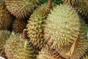 Sticker - Durian fruit is delicious at street food