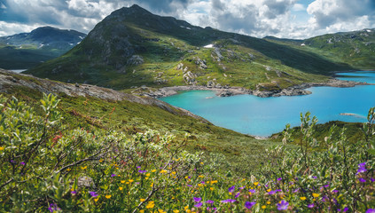 Wall Mural - Summer scenery in Jotunheimen national park in Norway