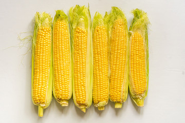 Poster - top view set of raw fresh corns with skin on color surface