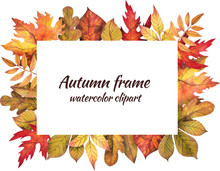Frame Of Autumn Leaves Painted By Watercolor, Isolated Clipart, Design Of Autumn Themes. Autumn Design