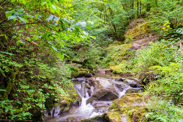 Sticker - Kleiner Wasserfall in der Klamm des Ehrbaches im Hunsrück