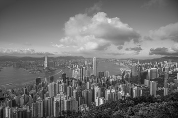 Wall Mural - Panoramic view of Victoria Harbor and Hong Kong skyline