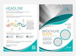 © tumindy - Brochure or flyer layout template, annual report cover design background