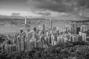 Wall Mural - Panoramic view of Victoria Harbor and Hong Kong skyline