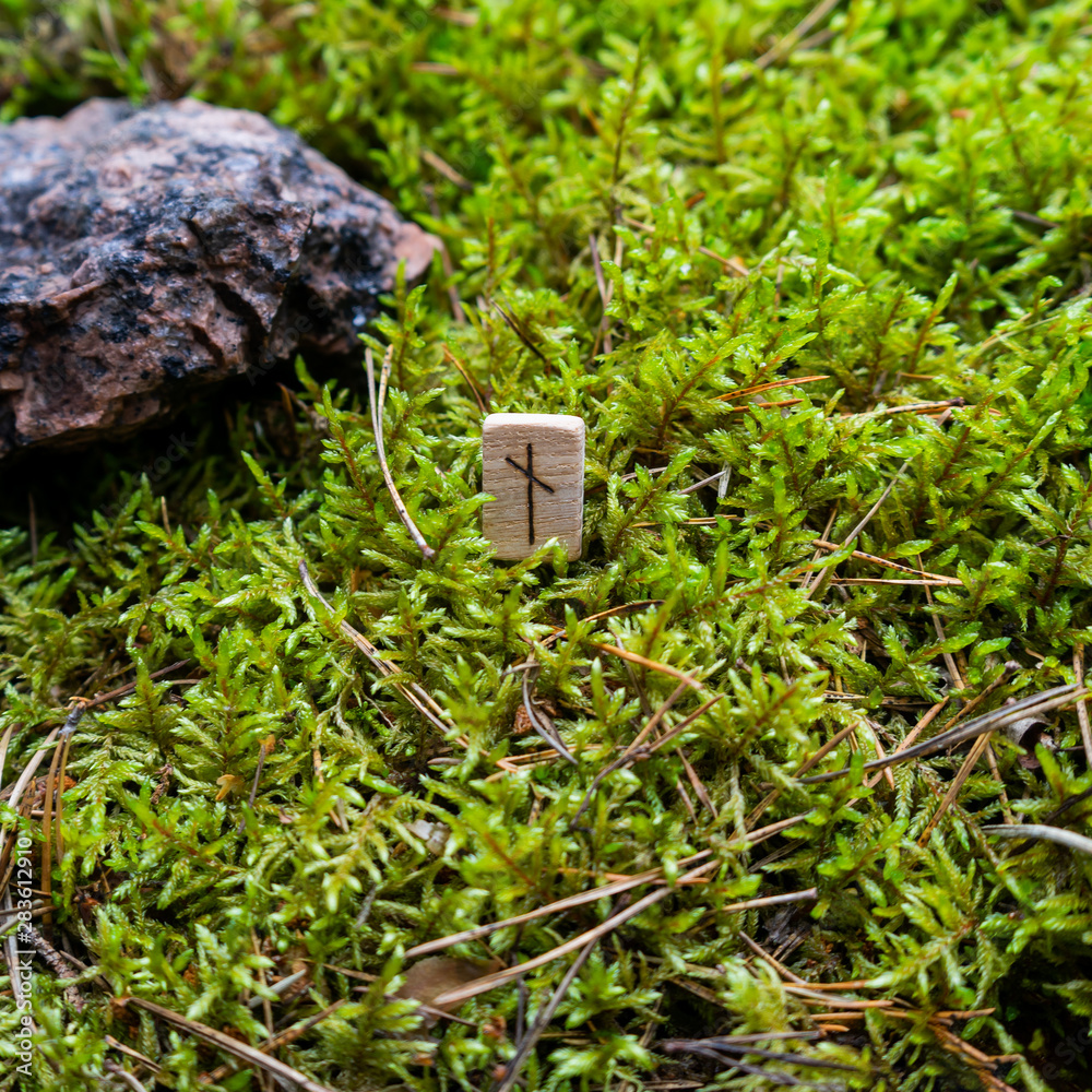 Scandinavian rune Nauthiz (need), on wet moss. The concept of ...