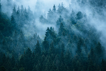 Wall Mural - Misty mountain landscape