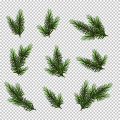 set christmas tree isolated on white background, pine fir branches.