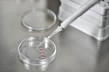 Process of in vitro fertilization in laboratory