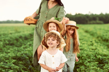 Wall Mural - Beautiful young caucasian mother with children in a linen dress with a basket of strawberries gathers a new crop and has fun with the children