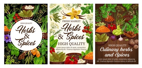 Wall Mural - Spices, green herbs and vegetable food seasonings