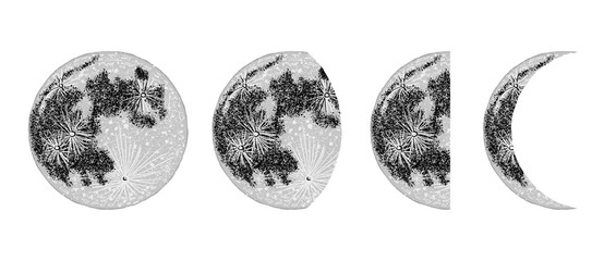 Wall Mural - moon phases. hand drawn crescent. astrology and astronomy elemnts. vector.