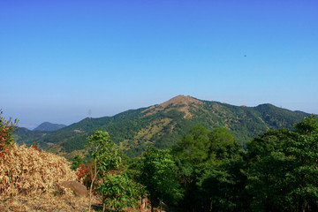 9 Feb 2009 Tai Mo Shan hk