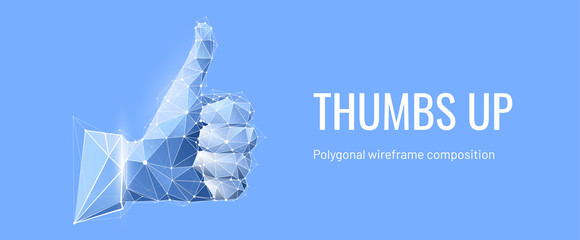 Hand, Thumb up. Low polygon wireframe style. The concept of quality confirmation or approval. Abstract isolated on light blue background. Particles are connected in a geometric silhouette