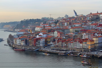 Wall Mural - Buildings in Porto, Portugal