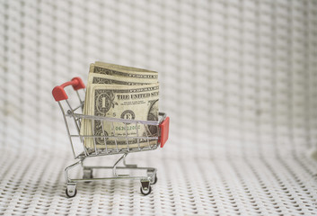 Shopping cart with American dollar banknote