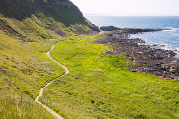 Wall Mural - summer giants causeway coastline,Northern Ireland