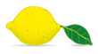 Zitrone Zitronenblatt