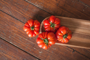 Wall Mural - tomatoes from the garden