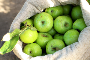 Poster - Juicy ripe green apples Simerenko in a linen bag on a wooden background